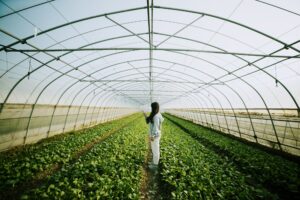 what-is-sustainable-farming-and-agriculture?