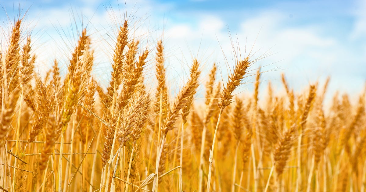 1 Agriculture Stock to Buy This Month and 1 to Sell