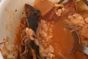 ‘the-most-disgusting-thing’:-woman-allegedly-finds-a-rat-floating-in-her-soup