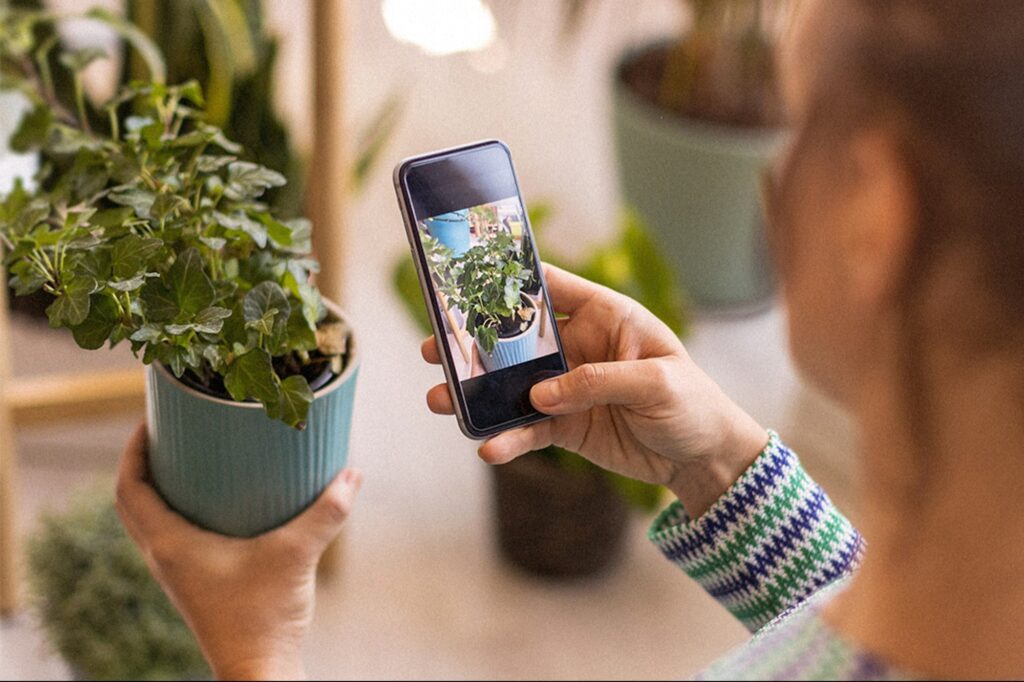 gain-encyclopedic-knowledge-of-the-plants-around-you-with-this-app,-now-$40-off