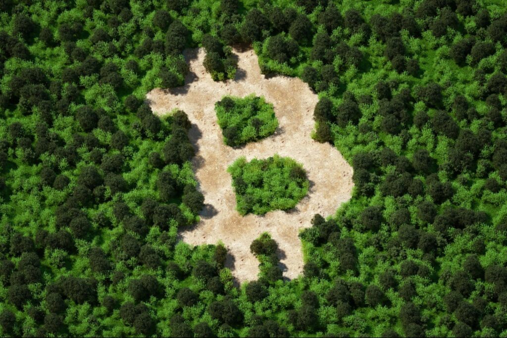 can-crypto-go-green?-examining-the-environmental-implications-of-cryptocurrencies