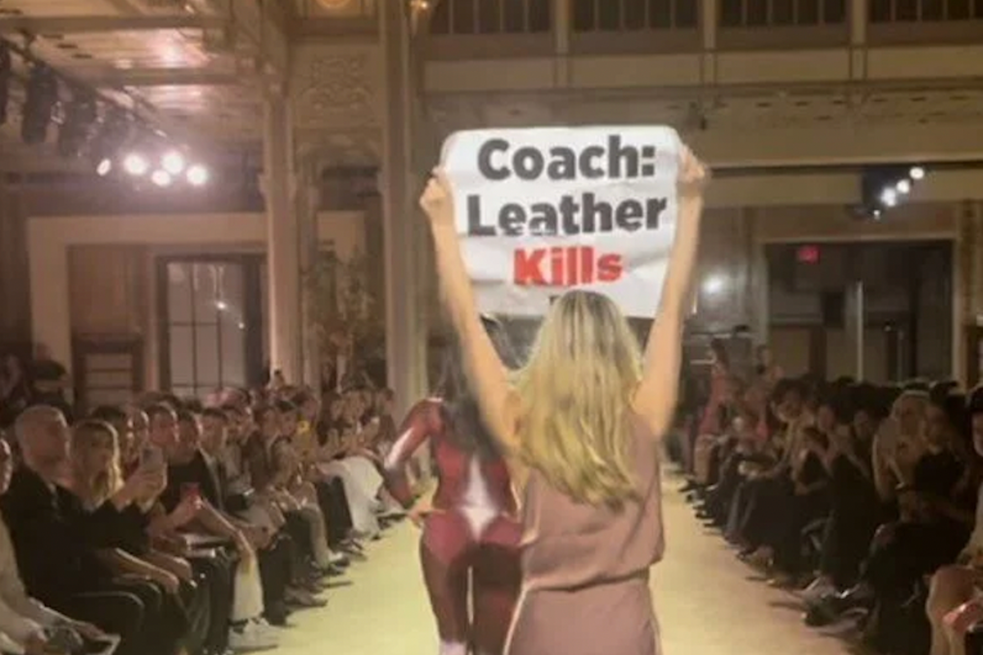 ‘I Love Cream Cakes. They’re My Favorite’: Ryanair CEO Slammed with Pie in His Face By Activists—Other Public Disturbances Occur at US Open, NYFW