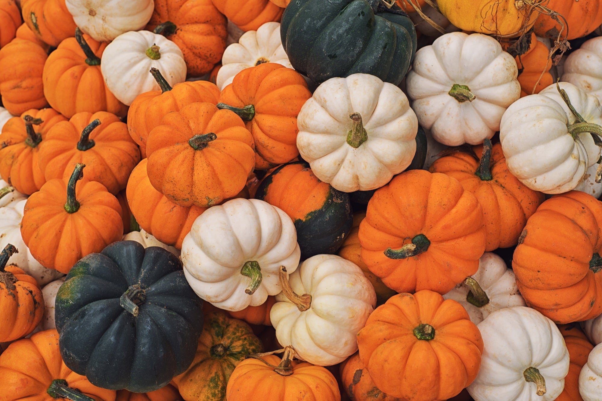 This Texas Mom’s Pumpkin Porch Displays — Which Can Cost More Than $8,000 — Are Already Sold Out, Thanks to One Very Strategic Move