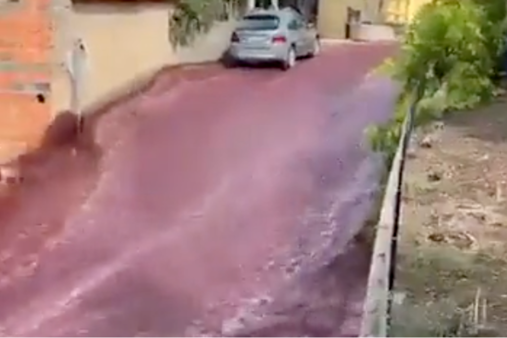 video:-nearly-77-million-bottles-worth-of-wine-flood-the-streets-of-portugal-village-after-two-tanks-fall-over