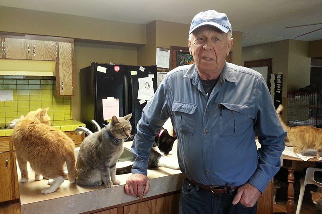 these-retirees-just-wanted-their-cats-to-drink-more-water-now-their-remote-side-hustle-makes-$80,000-a-year.