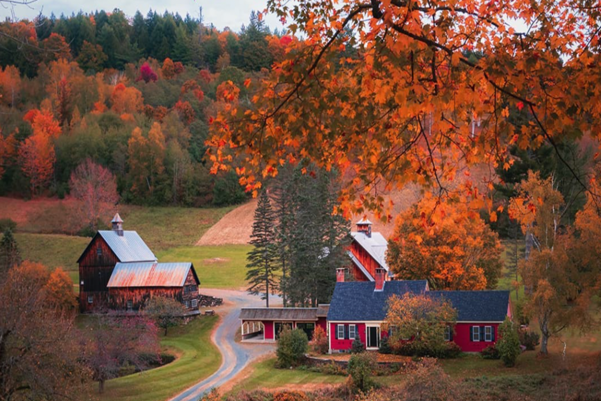 One of the ‘Most Photographed’ Fall Farms Is Banning Visitors Due to an ‘Unprecedented Surge’ of Influencers
