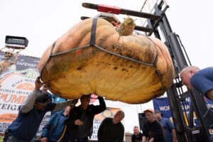 this-is-the-heaviest-pumpkin-in-the-world-—-and-its-grower-won-$30,000-for-setting-the-world-record