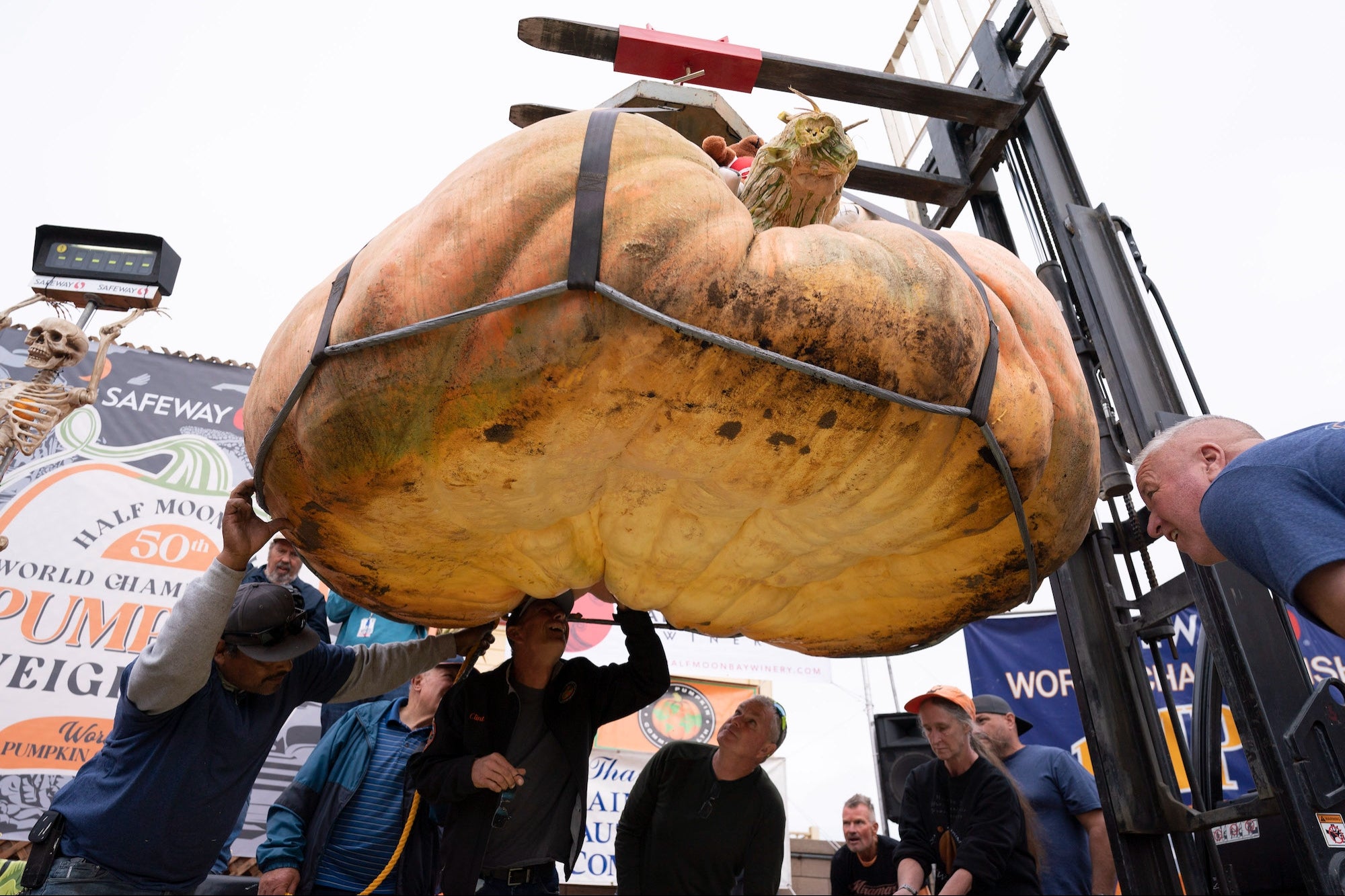 This Is the Heaviest Pumpkin in the World — And Its Grower Won $30,000 for Setting the World Record