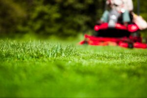 his-side-hustle-solved-a-common-problem-for-homeowners-now-the-business-brings-in-$3-million-a-month-during-peak-season.