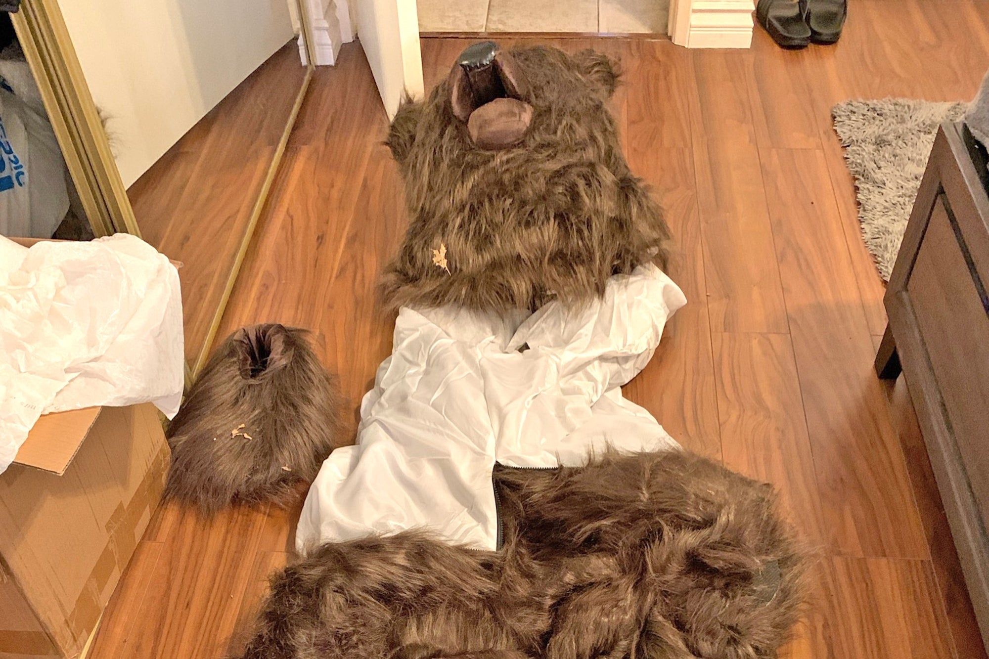 ‘Clearly a Human in a Bear Suit’: California Foursome Busted in Car Damage Insurance Scam — Watch the Video