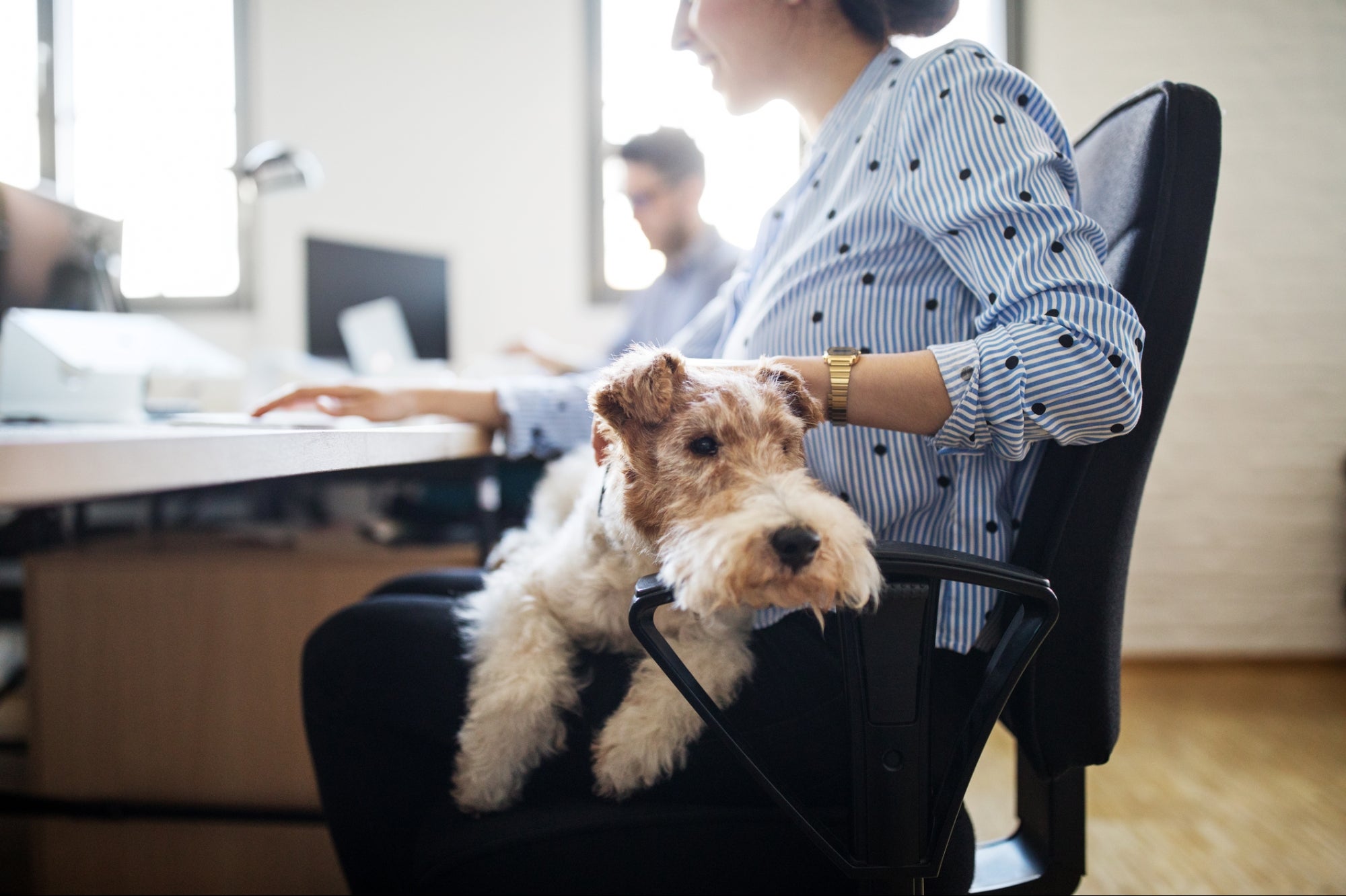 The Science Behind Why Pets Can Promote Better Health and Well-Being in the Workplace