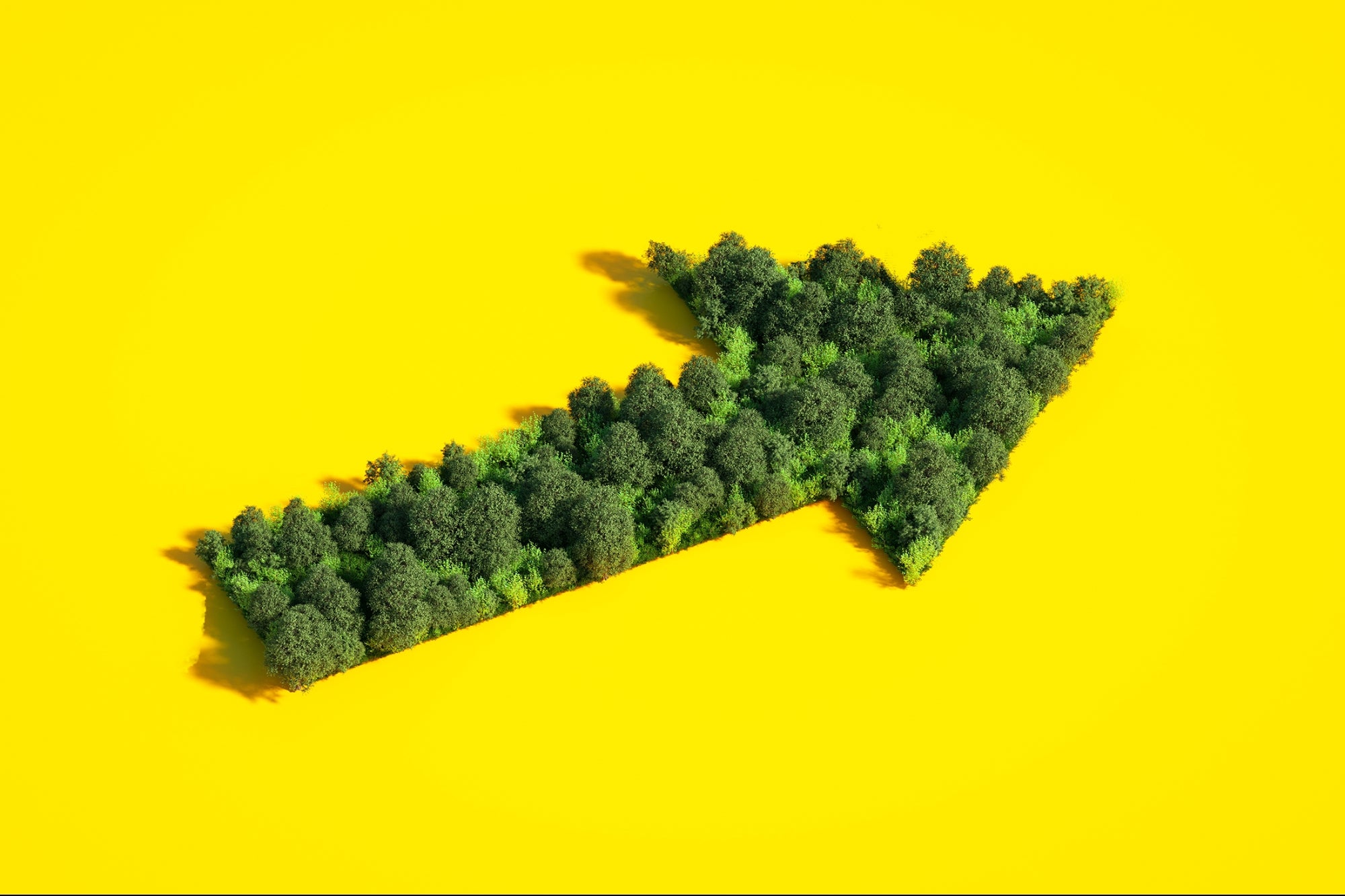 Small Businesses Have the Biggest Economic — and Environmental — Footprint. Here’s How They Can Actually Create a Greener Future.