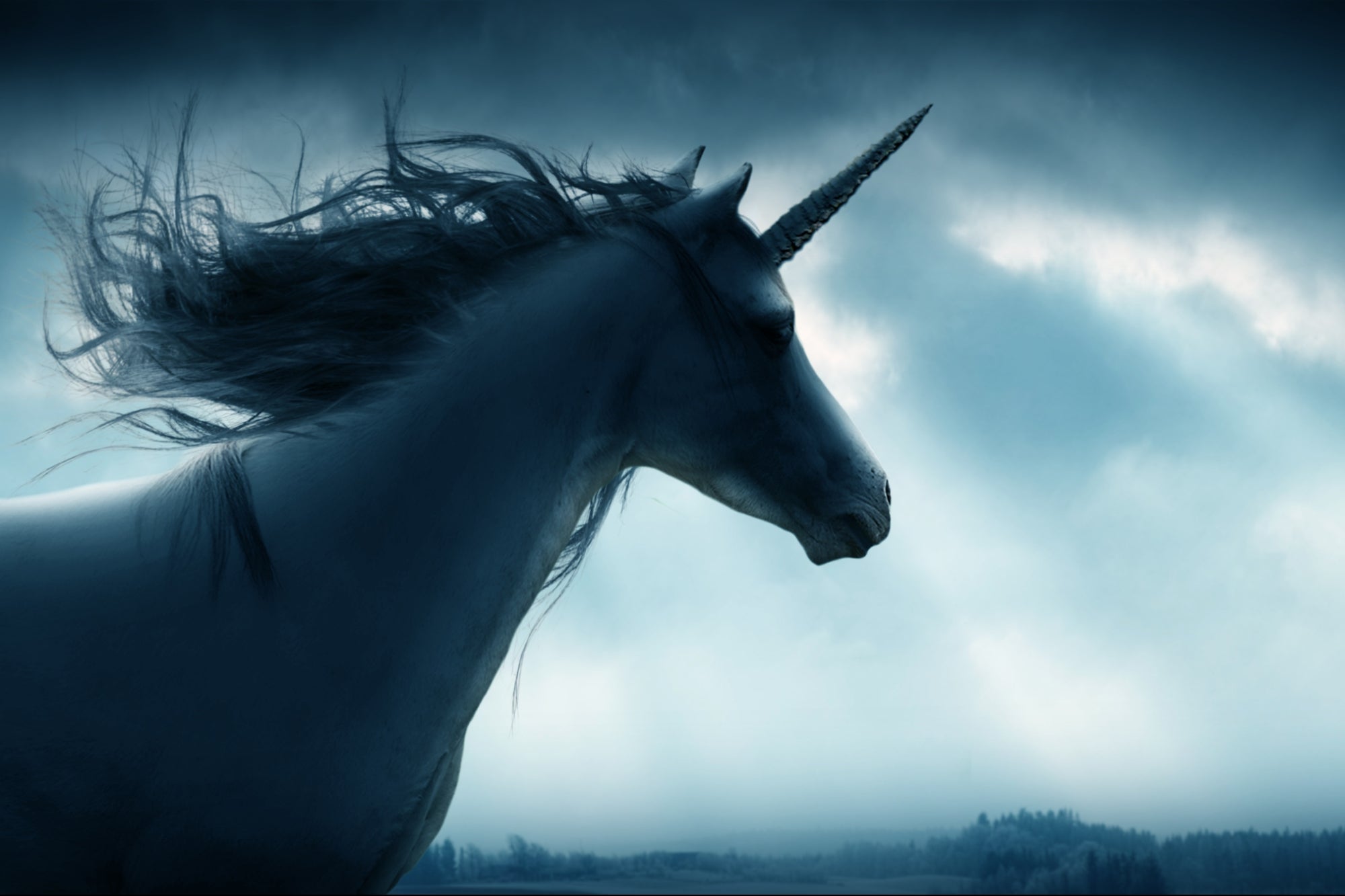 What Makes You a Unicorn in Your Industry? Start by Mastering These 4 Pillars